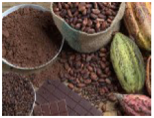 CACAO industry