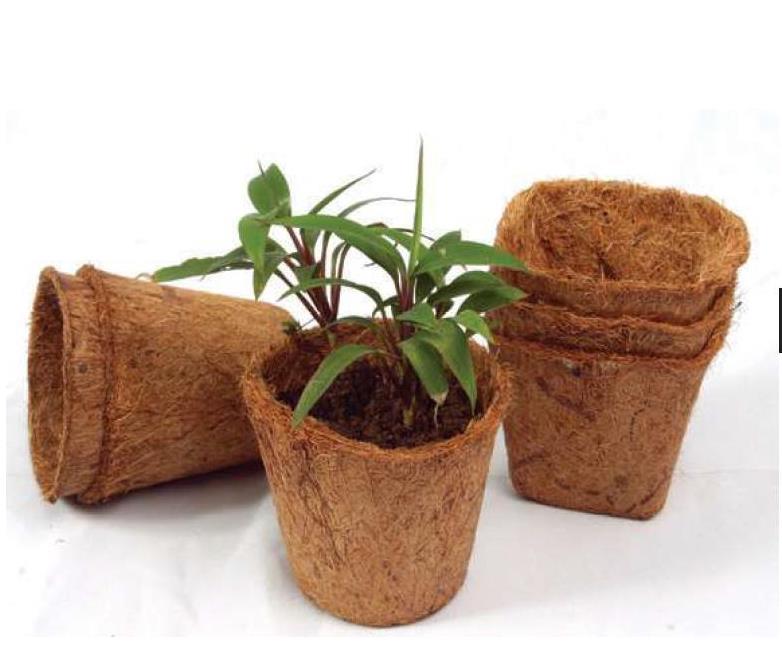 Coconut Coir