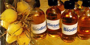 biodiesel